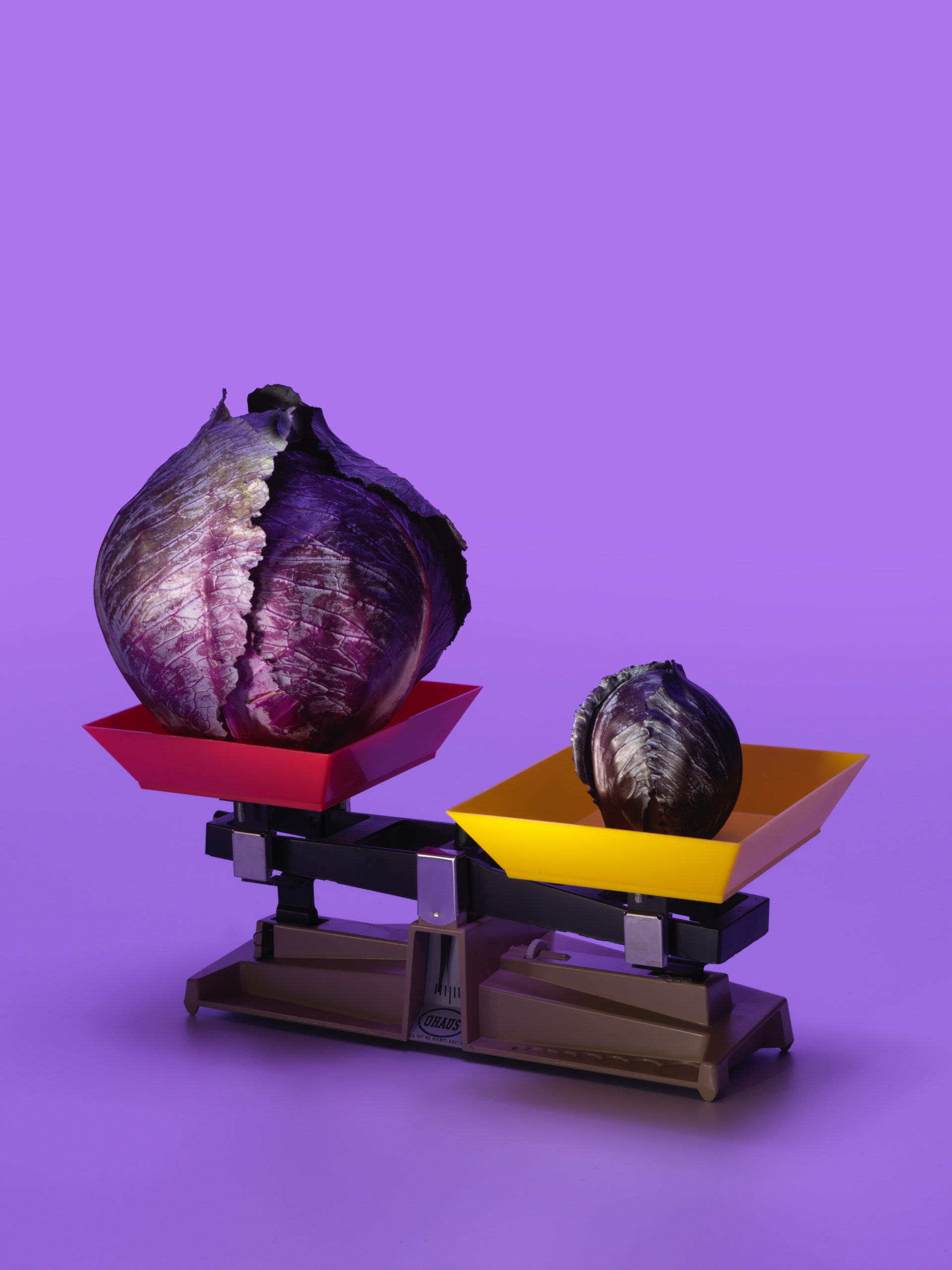 Roasted Red Cabbage Wedges with Caraway Cream Sauce - Happy Belly After