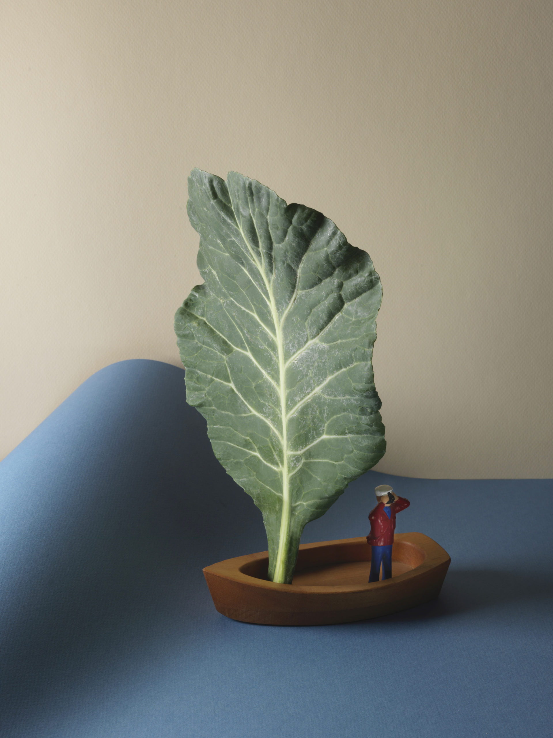Collard Greens and Rice Salad With Lemon Vinaigrette - Happy Belly After