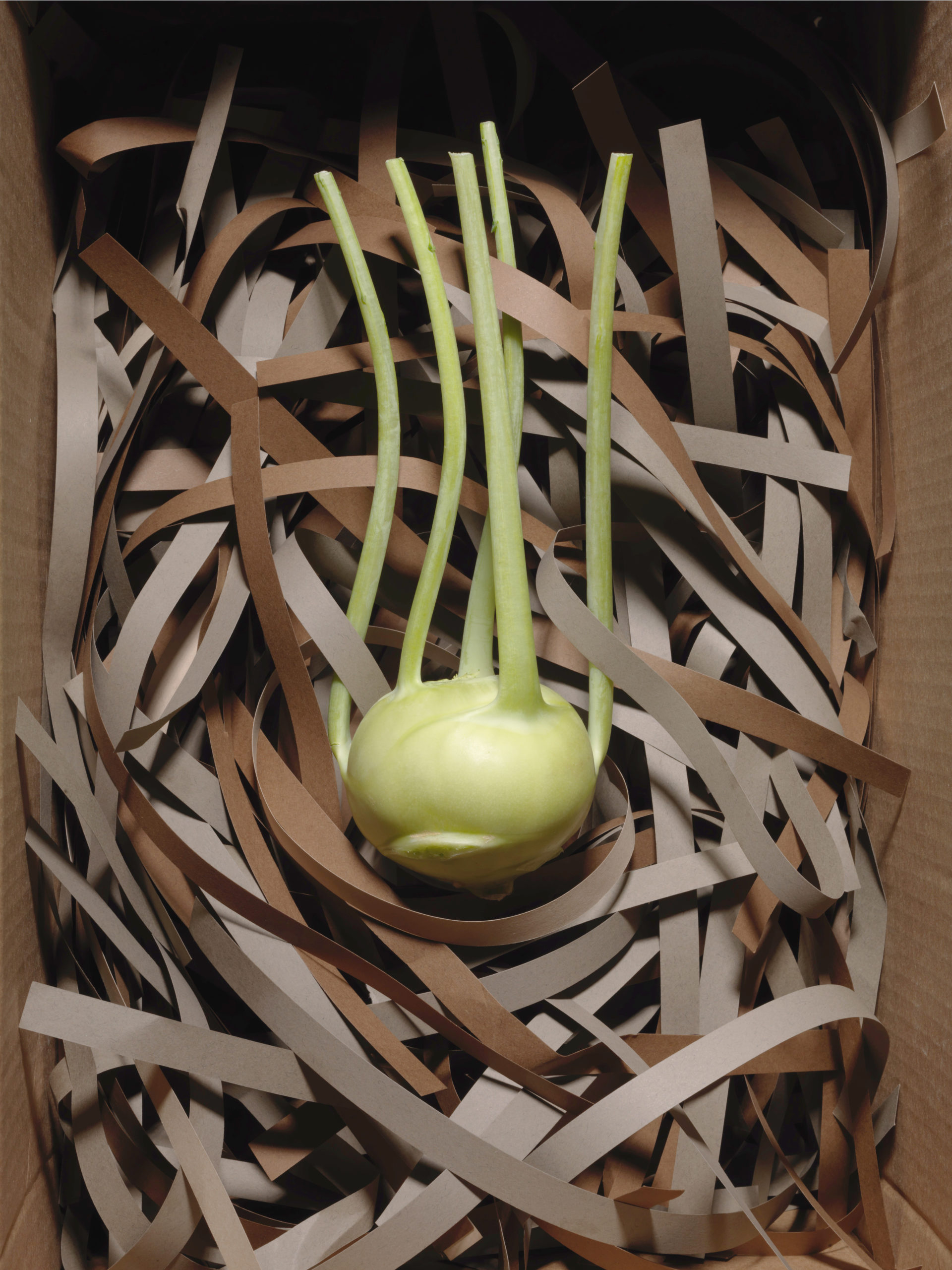 Kohlrabi Uramaki Rolls - Happy Belly After