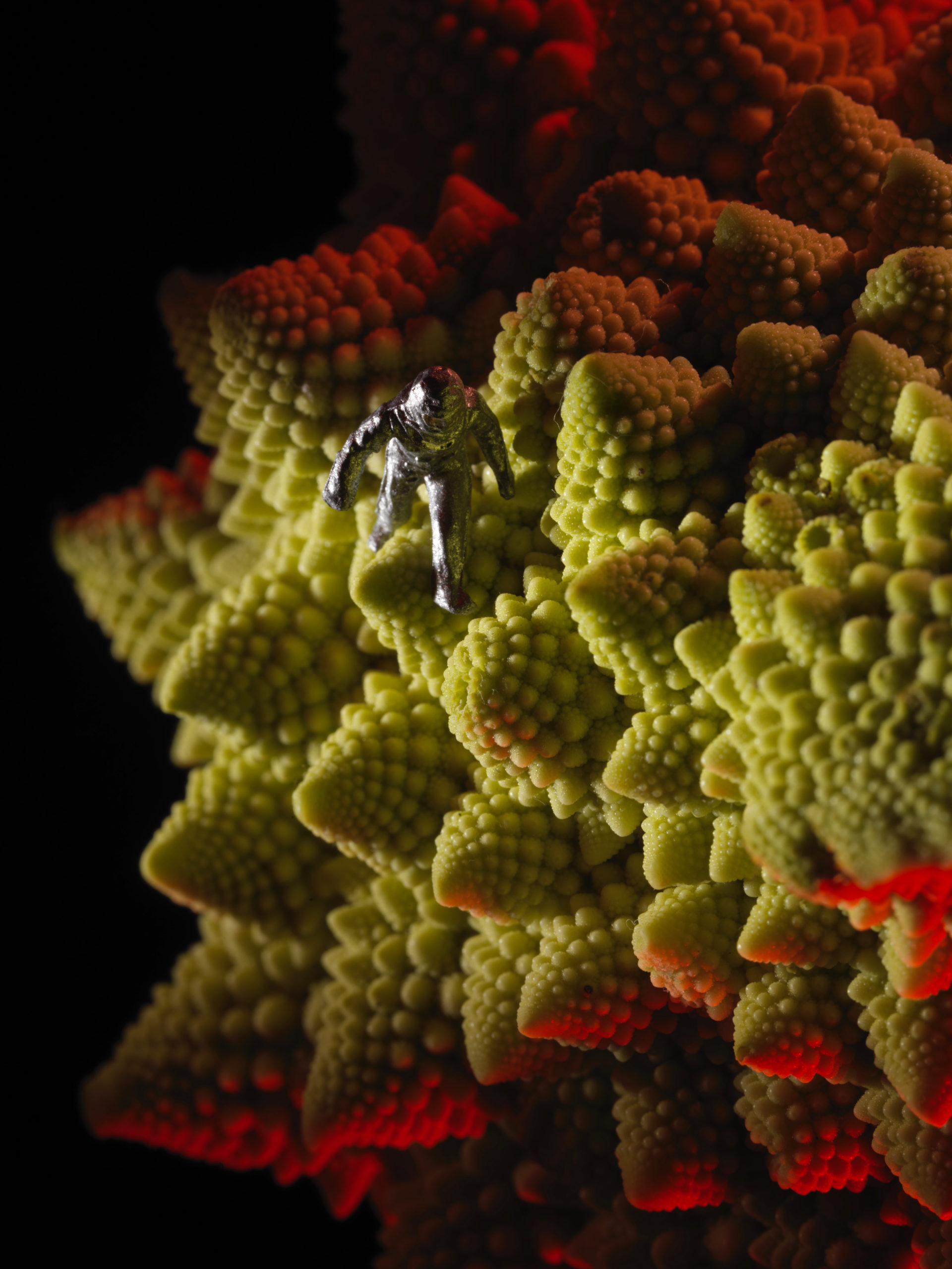 All Green Primavera - Happy Belly After