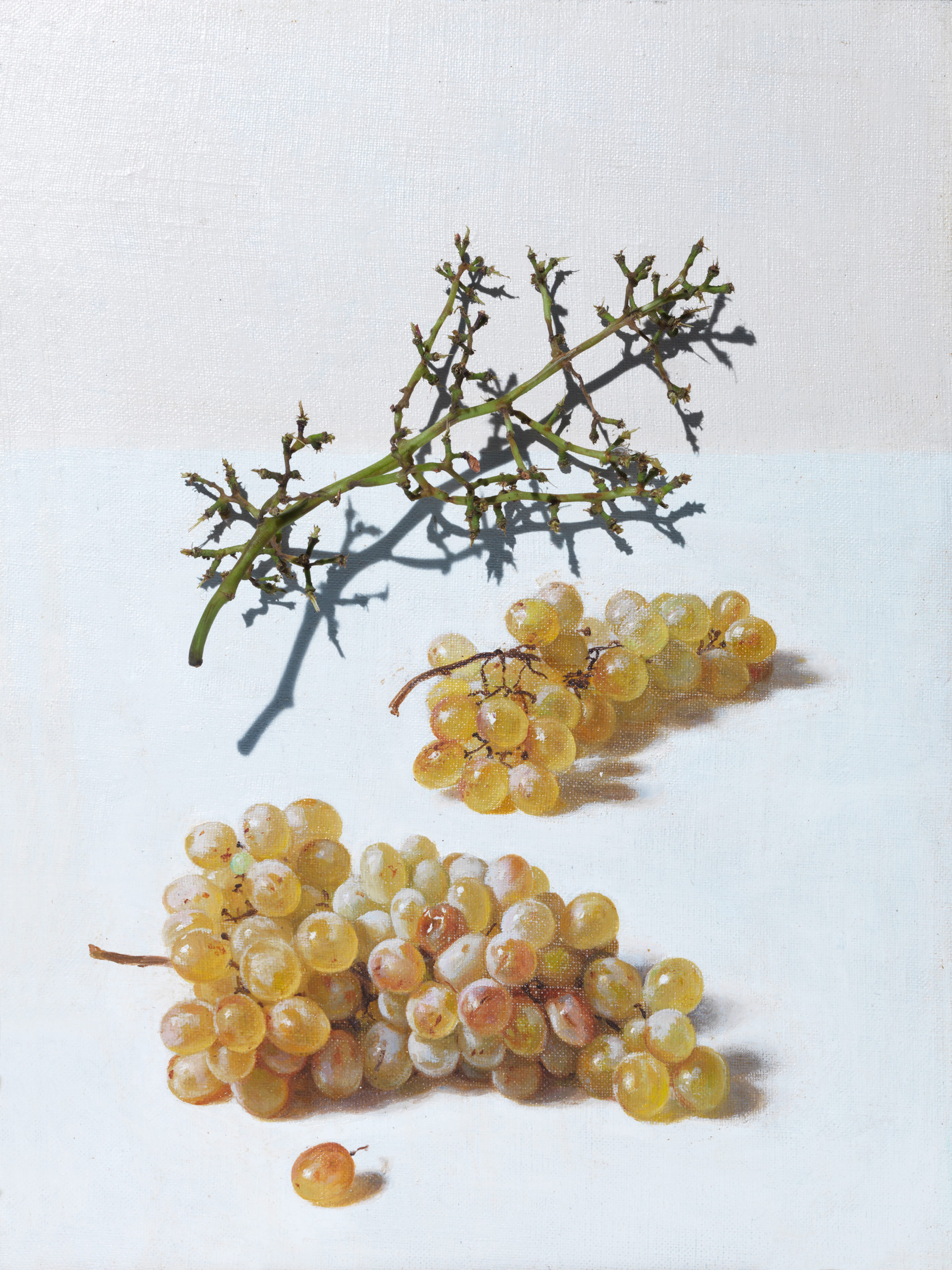 How to Make Golden Raisins Happy Belly After